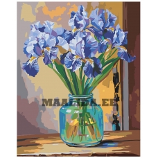 Maalid numbrite järgi A5II-AY004