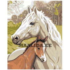 Maalid numbrite järgi "Horse with a foal" A5II-GX33101