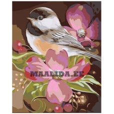 Maalid numbrite järgi A5II-GX4583