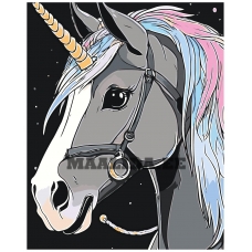 Maalid numbrite järgi A5II-IF208