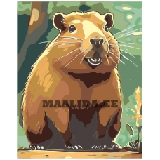 Maalid numbrite järgi A5II-IF235