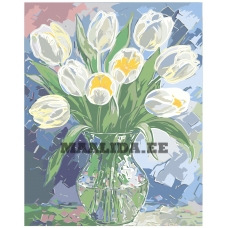 Maalid numbrite järgi A5II-IF271