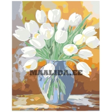 Maalid numbrite järgi A5II-IF272