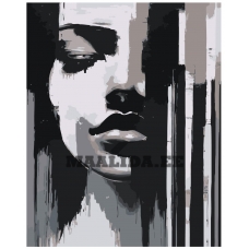 Maalid numbrite järgi A5II-IF337