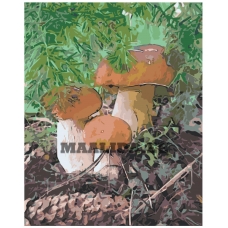 Maalid numbrite järgi "Boletus mushrooms" A5II-IF397
