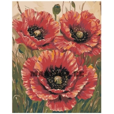 Maalid numbrite järgi A5II-IF467