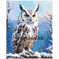 Maalid numbrite järgi A5II-IF485