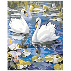 Maalid numbrite järgi A5II-JP242