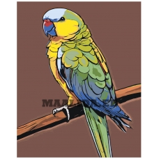 Maalid numbrite järgi A5II-JP378