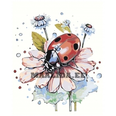 Maalid numbrite järgi A5II-NK41