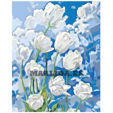 Maalid numbrite järgi A5II-NK534