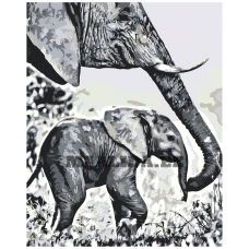 Maalid numbrite järgi A5II-NK55