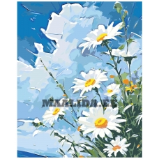 Maalid numbrite järgi "Chamomiles" A5II-NK599