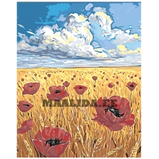 Maalid numbrite järgi "Poppy Field" A5II-NK605