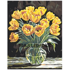 Maalid numbrite järgi A5II-NK643