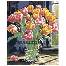 Maalid numbrite järgi A5II-NK644