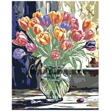 Maalid numbrite järgi A5II-NK647