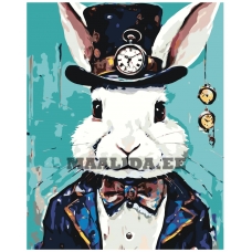 Maalid numbrite järgi A5II-NK658