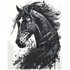 Maalid numbrite järgi A5II-NK661