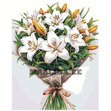 Maalid numbrite järgi A5II-SN60