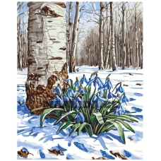 Maalid numbrite järgi A5II-SN71