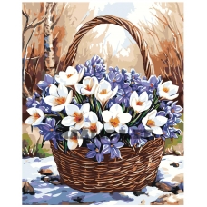 Maalid numbrite järgi A5II-SN78