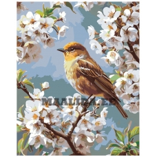 Maalid numbrite järgi A5II-SN91