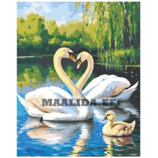 Maalid numbrite järgi A5II-TN111