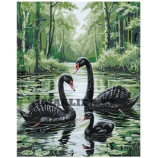 Maalid numbrite järgi A5II-TN54