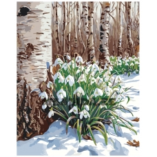 Maalid numbrite järgi A5II-TN67