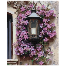 Maalid numbrite järgi A5II-TN72