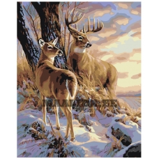 Maalid numbrite järgi A604