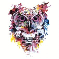 Maalid numbrite järgi A605