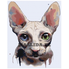 Maalid numbrite järgi A606