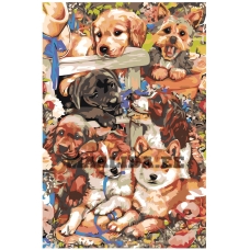 Maalid numbrite järgi A65