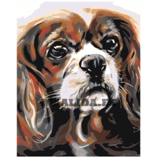 Maalid numbrite järgi A66