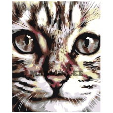 Maalid numbrite järgi A67