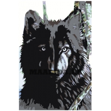 Maalid numbrite järgi A73