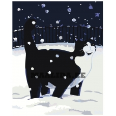 Maalid numbrite järgi A74