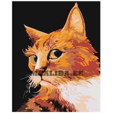 Maalid numbrite järgi A78