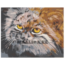 Maalid numbrite järgi A84