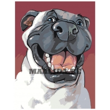 Maalid numbrite järgi A97