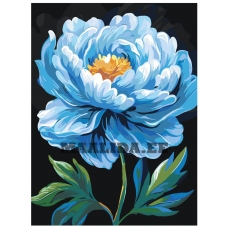 Maalid numbrite järgi AAAA-NK024