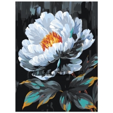 Maalid numbrite järgi AAAA-NK025