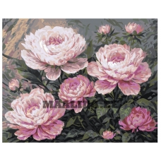 Maalid numbrite järgi AAAA-NK637