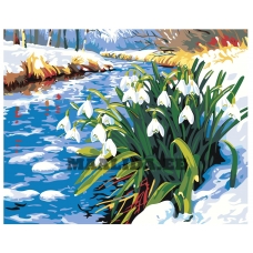 Maalid numbrite järgi AAAA-NK690