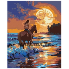 Maalid numbrite järgi AAAA-NK766