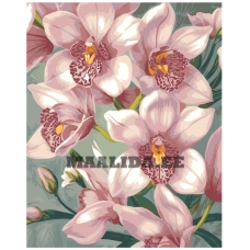 Maalid numbrite järgi AAAA-NK928