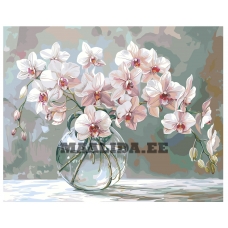 Maalid numbrite järgi AAAA-NK929