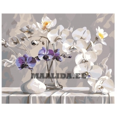 Maalid numbrite järgi AAAA-NK930